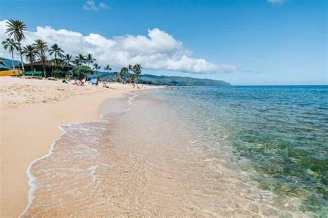 8 Breathtaking North Shore Oahu Beaches Worth A Stop 2023