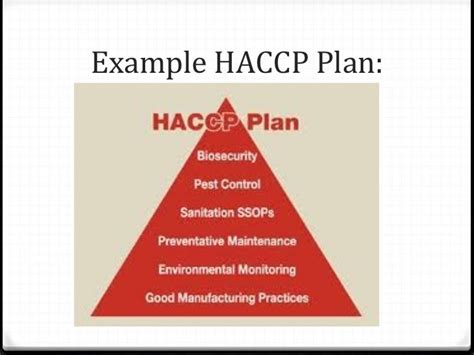 Food Safety Haccp Plan Pyramid