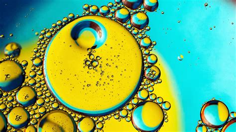Download Wallpaper 1920x1080 Bubbles Liquid Oil Transparent Macro