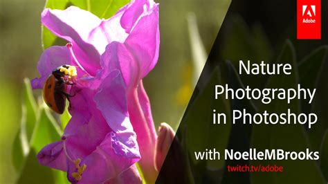 Adobe Thumbnail Nature Photography In Photoshop Noelle M Brooks