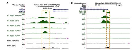 It can also be utilized to identify novel biomarkers, because histone modification. Abnormal epigenetic regulation of the gene expression ...