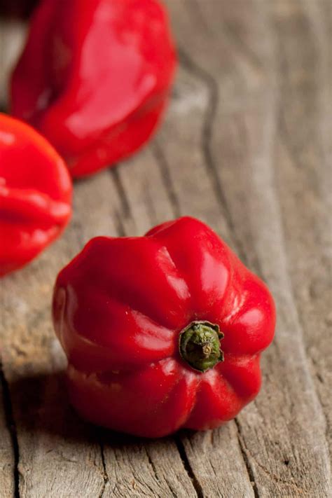 Alles was auch immer du letztendlich im themenfeld habanero red savina scoville recherchieren möchtest. What are the Hottest Peppers in the World? 2019 List ...