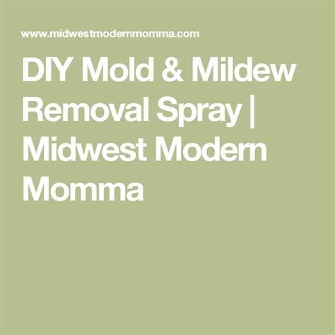 Homemade Mildew Removal Spray Mold Too Mildew Remover Homemade