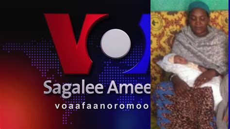 Seenaa Maatii Oromoo Jigjigaadhaa Ariamanii Voa Afaan Oromoo Youtube