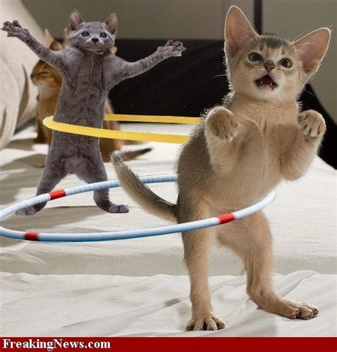 Top 129 Funny Hula Hoop Pictures