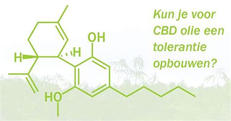 Kun Je Een Cbd Olie Tolerantie Opbouwen Hennepman Nl