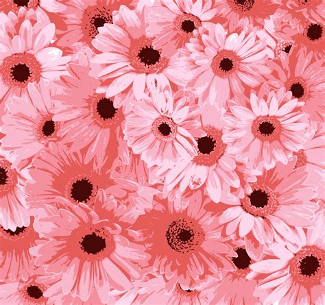 Pink Flowers Background Free Stock Photo Public Domain