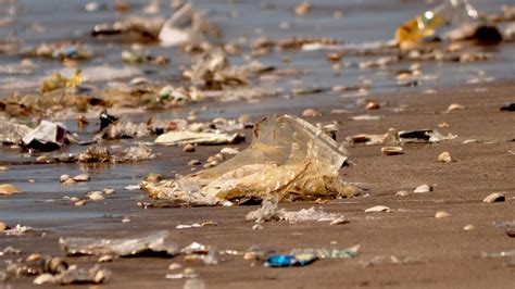 Basura Costera El 80 De Los Residuos Encontrados En Las Playas