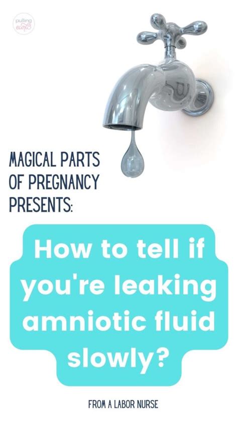 How To Tell If Your Water Is Leaking Slowly Smartparentingskills Com