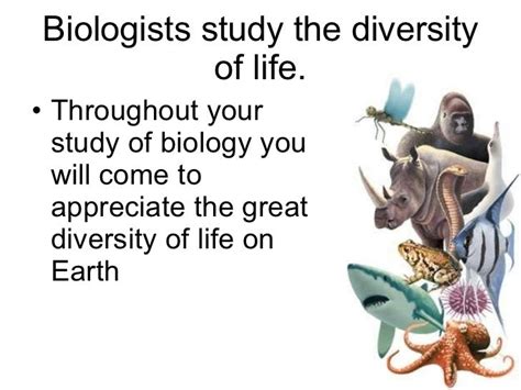 Biology Chp 1 Biology The Study Of Life Powerpoint