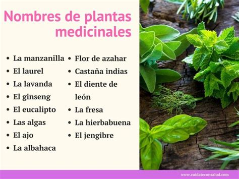 Some Herbs Are On A Wooden Table With The Words Nombres De Plantas