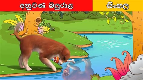 අනුවණ බලුරාළ Sinhala Cartoon Surangana Katha 4k Uhd Sinhala Fairy Tales