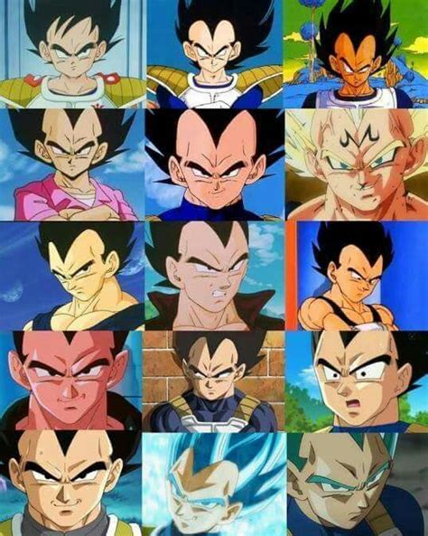 Bulma vs mai dragon ball evolution. Vegeta's Evolution | Dragon ball z, Dragon ball super ...