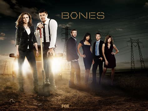 Bones Bones Vs Castle Wallpaper 20505429 Fanpop