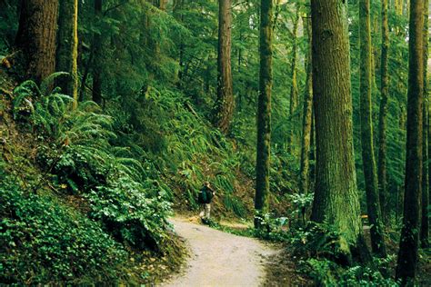 Forest Park Guide The Best Hikes Travel And Outdoors Oregon