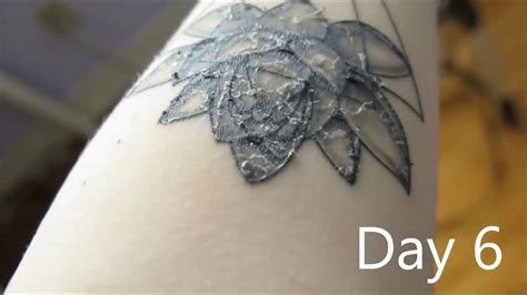 Tattoo Healing Process Day By Day Youtube