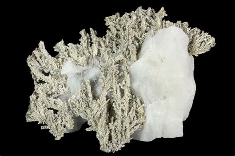 29 Native Silver Formation In Etched Calcite Morocco