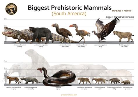 Biggest Prehistoric Mammals Of Sa Carnivore By Rom U On Deviantart