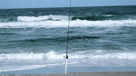 Best Surf Fishing Rods In 2022 Reviewed Buying Guide