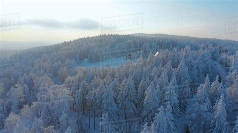 Aerial Flying Towards A Lonely Wooden House In The Vast Snowy Woods On