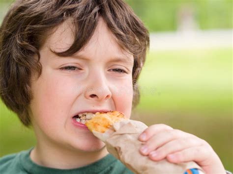 Boy Eating Bread Stock Photo Image Of Young Child Food 31191432