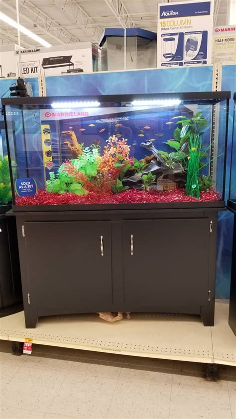 60 Gallon Tall On Sale At Petsmart Today I Pulled The Trigger Aquariums