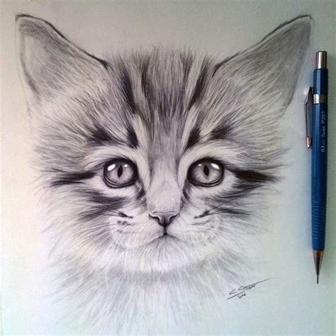 In addition, circles often trip up young artists as they try to make them. Kitten Drawing by LethalChris on DeviantArt