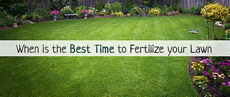 Fertilize your lawn properly, and you'll be on your way to a healthy, dense stand of turf that maintains a deep when to fertilize depends on what kind of grass you have. When to Fertilize Your Lawn
