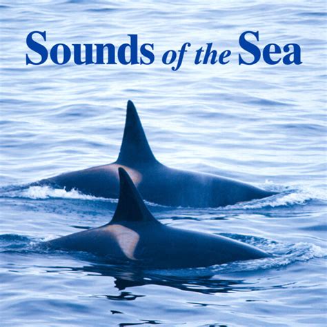 Sounds Of The Sea Relaxing Ocean Sounds Brand New Cd In Shrinkwrap