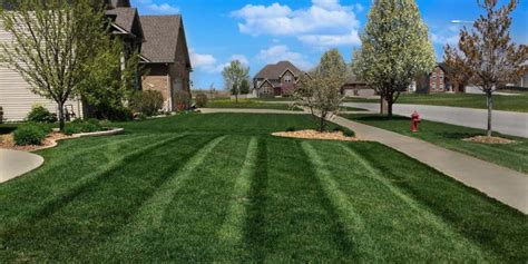 There is honestly nothing more pleasing than relaxing out in your garden surrounded by perfectly cut grass, which is completely free of. Omaha Lawn Care News - EcoScapes Lawn Care Services