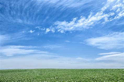 Free Download Hd Wallpaper Lush Field And Blue Sky Green Earth