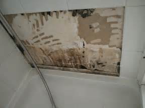 Is is part of the reason why the pan under the shower is there. Advice - Water entering drywall behind tiles (Shower ...
