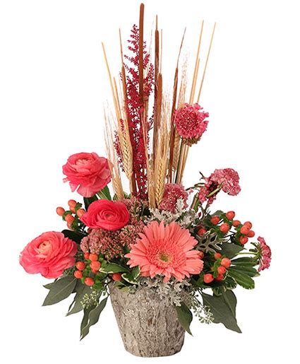 Afs was available at afs.msu.edu an… Coral Comforts Floral Arrangement in East Haven, CT ...