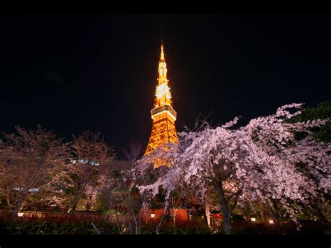 10 Tours and Spots to Enjoy Tokyo's Night Scenery ...