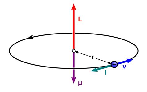 Magnetic Field Due To Solenoid Class 12 Derivation Laws Of Nature