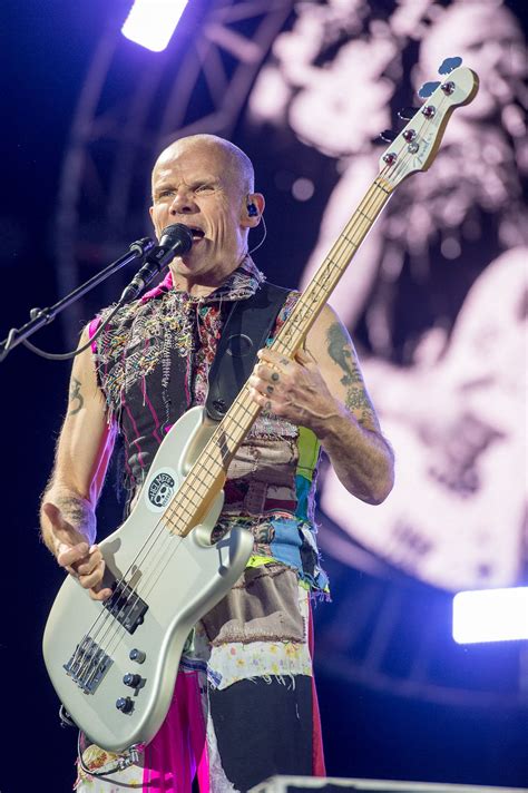 Flea - Wikipedia