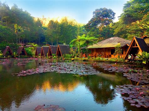 Check spelling or type a new query. Tempat Menginap Bergaya Tradisional dan Bertema Alam di ...