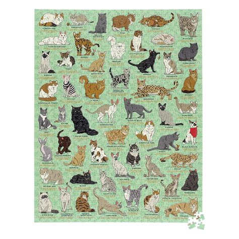 You don't need a green thumb to enjoy this thriving succulent garden! Cat Lovers 1000 Piece Jigsaw Puzzle | Toys | Casey's Toys