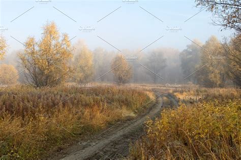 A Cold Autumn Morning In The Siberian Forest High Quality Nature