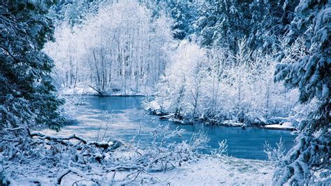Hd Winter Wallpapers 1080p 68 Images