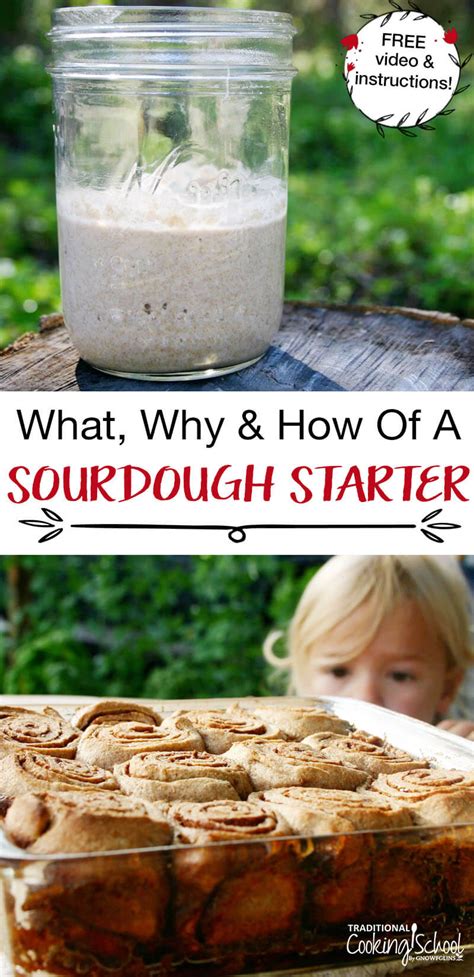 Maybe you would like to learn more about one of these? How To Make A Sourdough Starter (FAQs, care tips, recipes ...