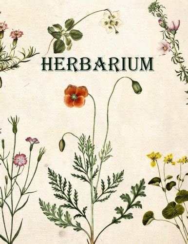 Ihr zuhause ist ihr schloss, ansonsten mit etwas einfallsreichtum können sie. Herbarium Deckblatt Pdf