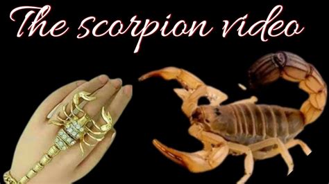 The Scorpion King Full Movie The Scorpion King Fight Scene Scorpions