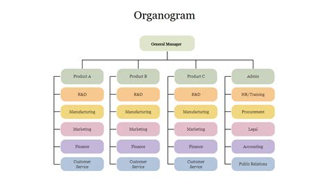 Organogram Template Powerpoint