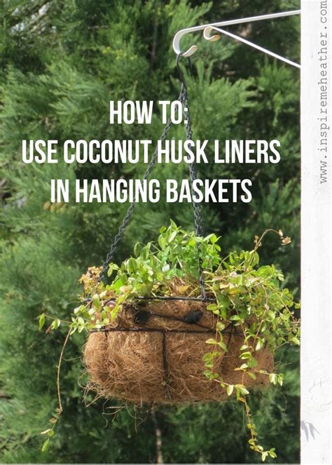 So, how do you plant orchids in coconut husk? Coconut husk liners in hanging baskets | Hanging baskets ...