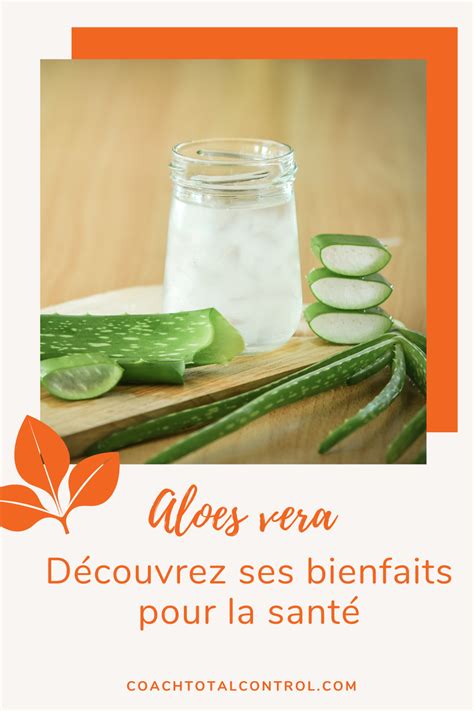 aloes vera découvrez ses bienfaits pour la santé in 2021 herbalife aloa vera detox
