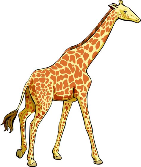 Cute Giraffe Cartoon Clipart Best