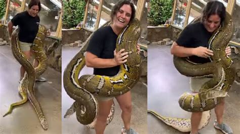 World Longest Snake