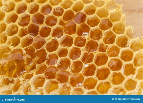 Golden Color Natural Honeycomb Full Of Fresh Honey Stock Image Image
