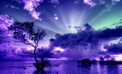 Beautiful Blue Nature Night Purple Inspiring Picture On